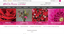 Desktop Screenshot of deroosbv.com